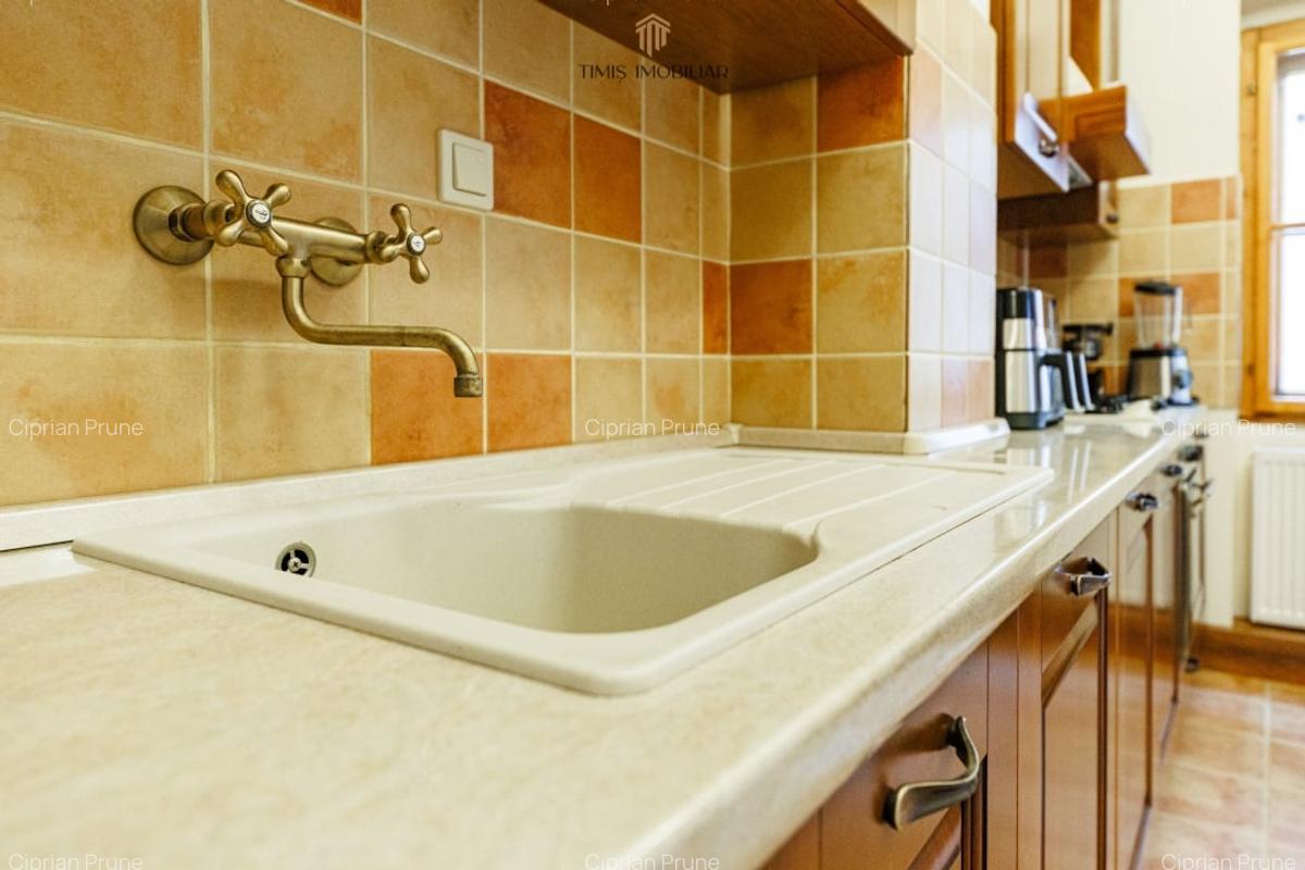 Apartament cu terasa si boxa, in Palatul Adolf Hanecker | Mal Bega - 43