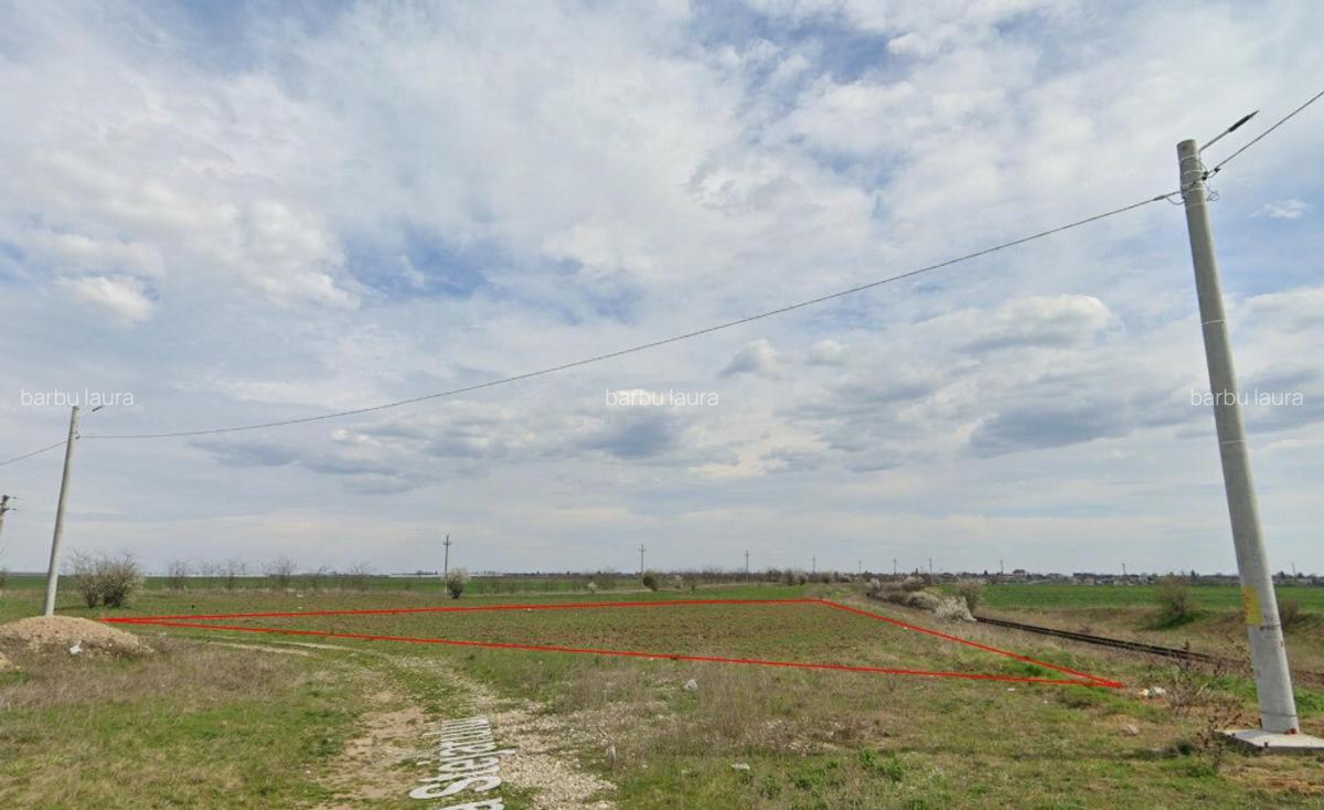 Teren Tanganu, Cernica, Ilfov, 1000mp - 2