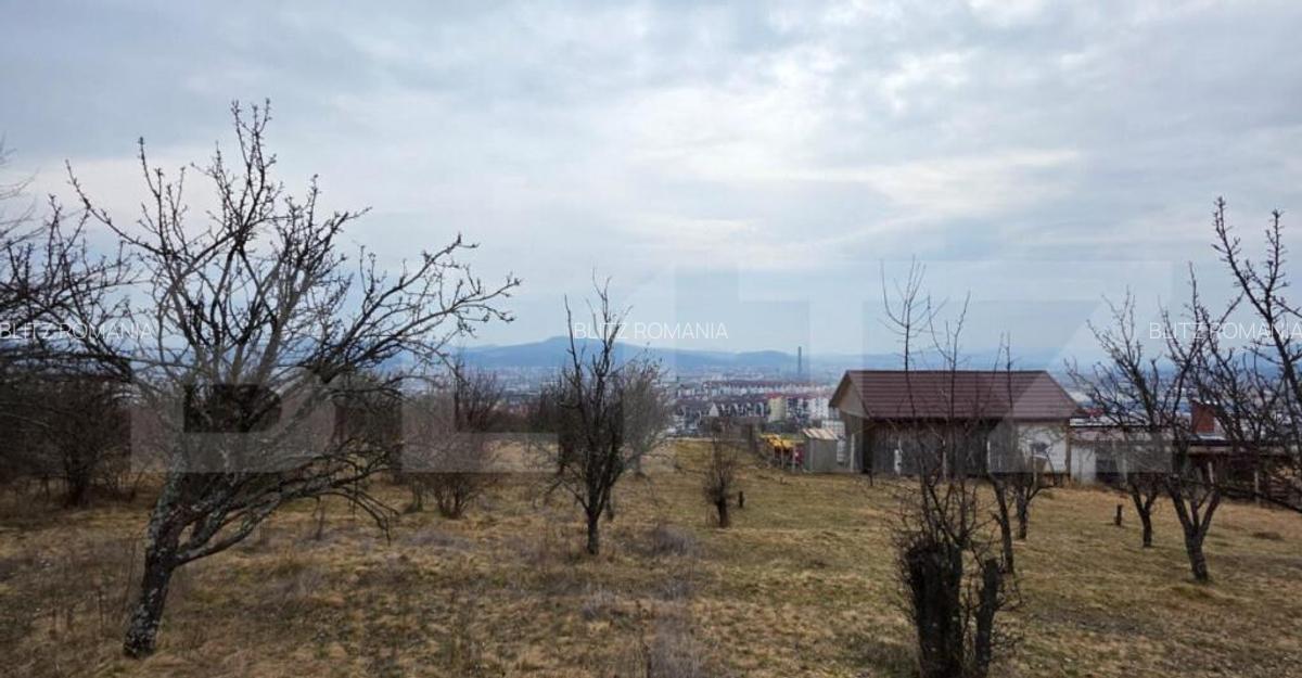 Teren extravilan de vanzare, 900 mp, Bistrita - 8