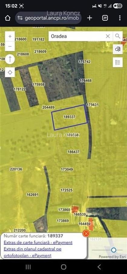 RECO Teren Dealuri Oncea - 7