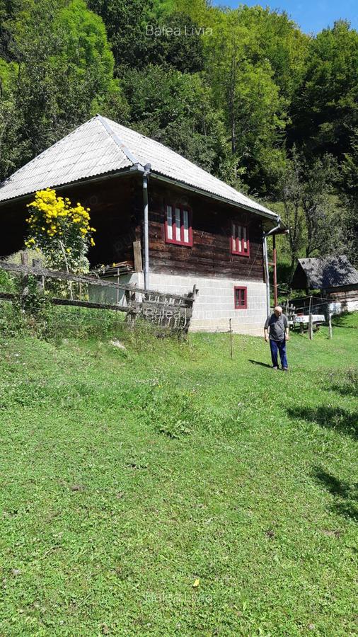 Vand casa in Bistra - 6