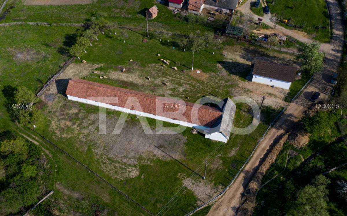 Microferma cu locuinta de vanzare in Pianu de sus - 14