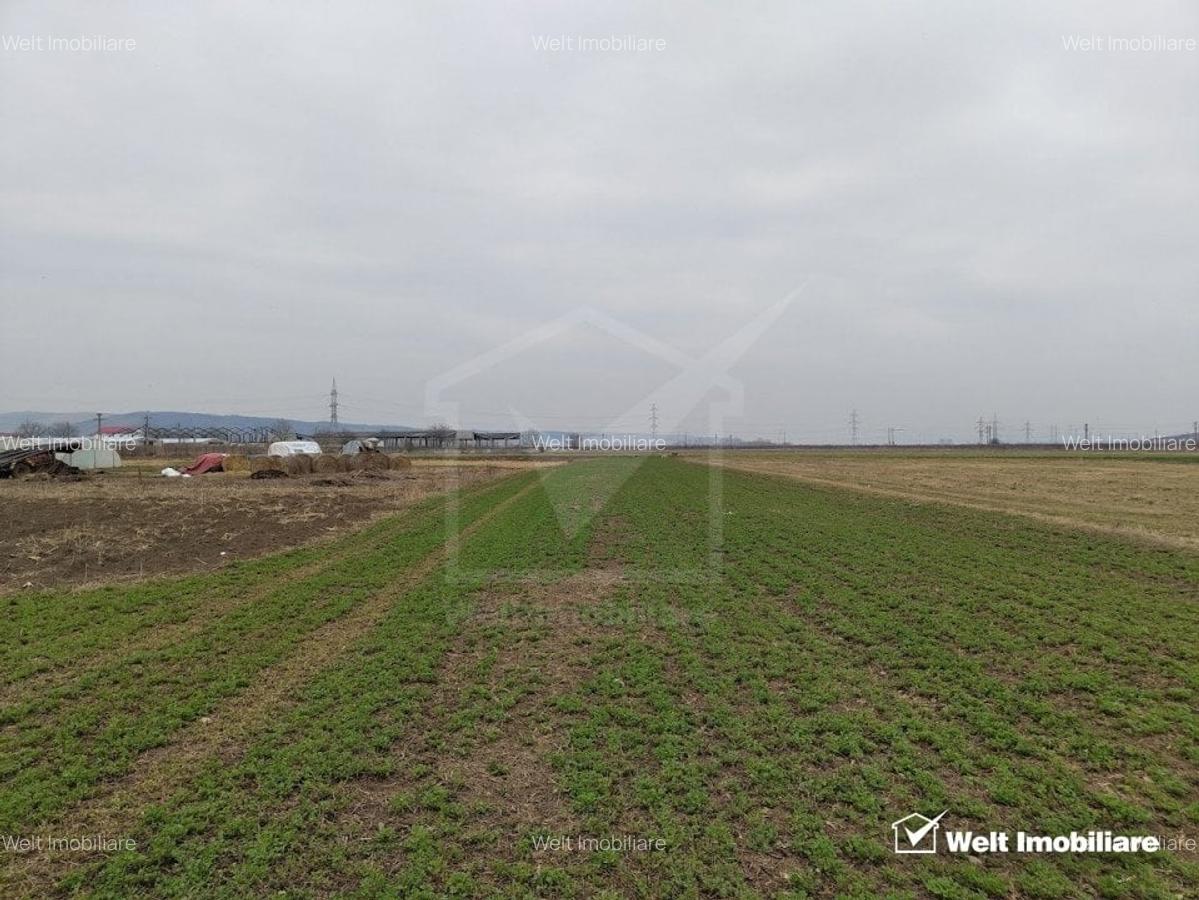 Teren industrial 4175mp, Apahida - 1