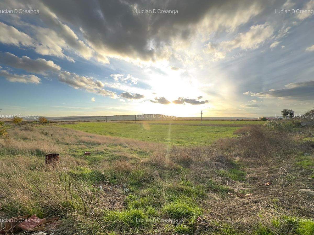 Teren si proiect, 15813mp, fata Skoda - 7