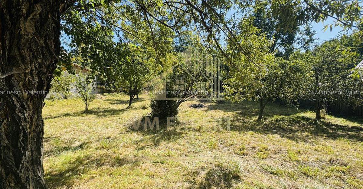 TEREN INTRAVILAN 3234 MP LERE?TI VOINE?TI ARGE? - 5