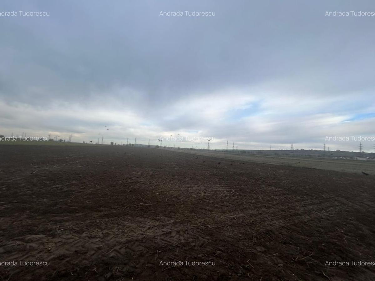 Teren intravilan, 10.000 mp, Simnicul de Sus - 2