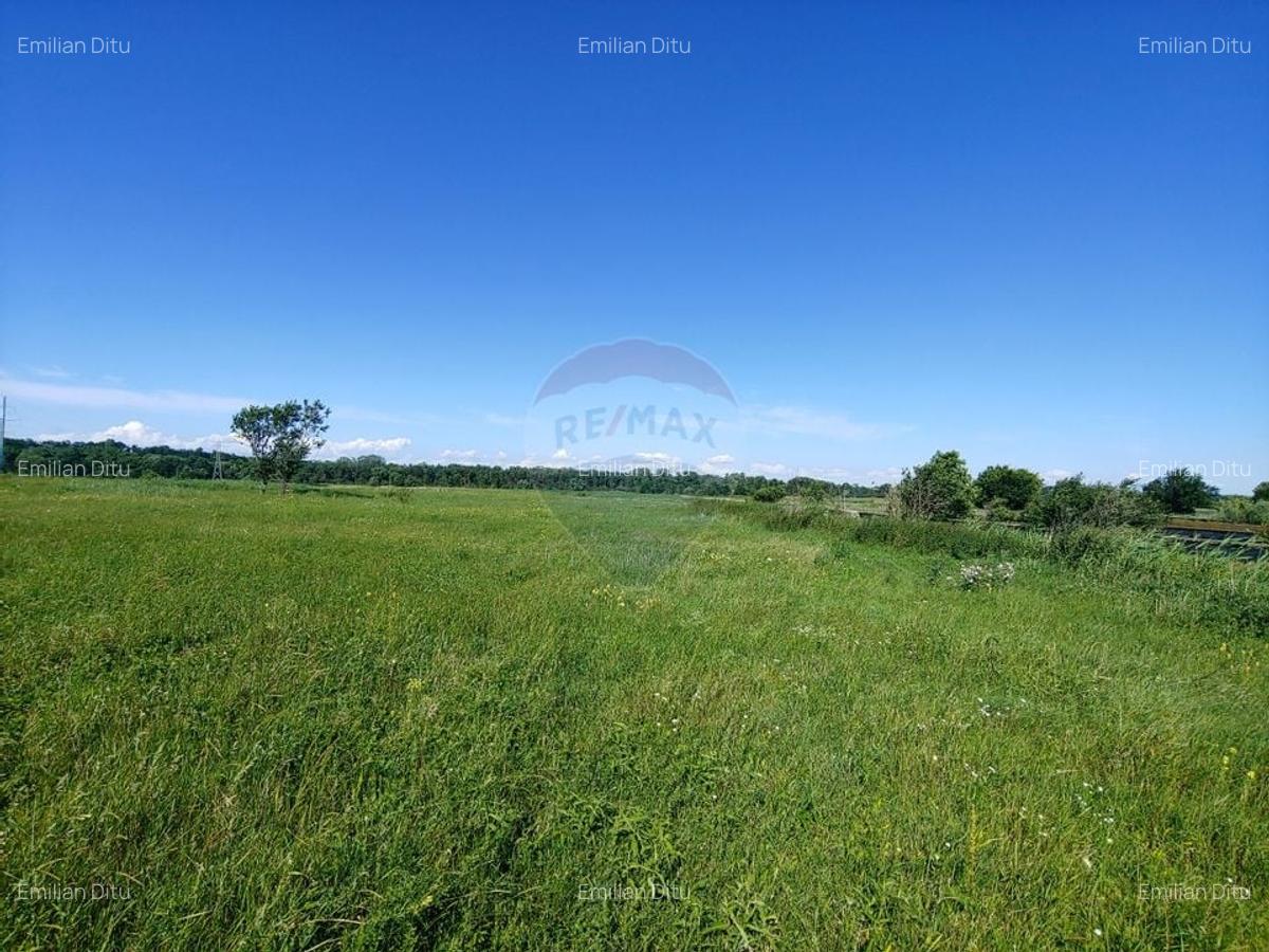 Spatiu industrial de 480mp+teren de 15069mp in Dornesti, Suceava - 21