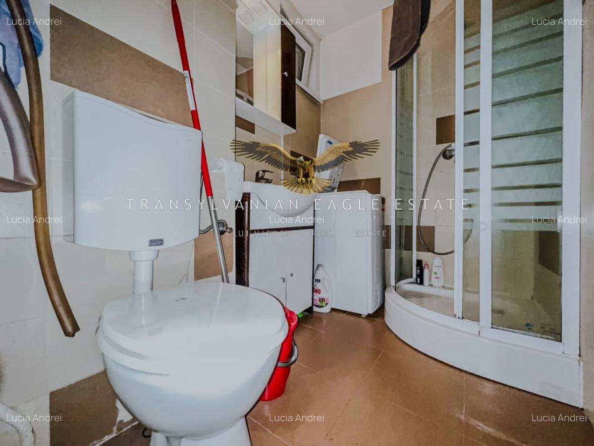 Apartament decomandat cu 3 camere in Plopilor - 8