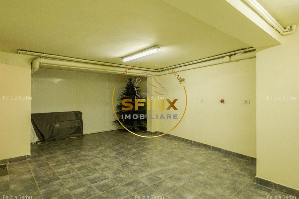 Piata Victoriei - Vila cu gradina proprie, garaj si terasa - 31