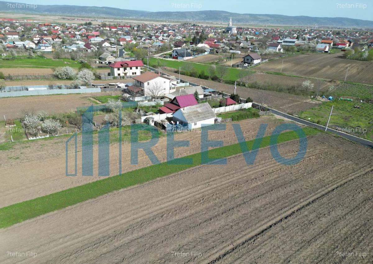 Teren de vanzare, Com. Nicolae Balcescu, Jud. Bacau - 14 Teren de vanzare, Com. Nicolae Balcescu, Jud. Bacau - 14