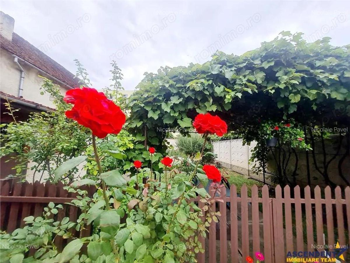 Poveste saseasca la umbra vitei de vie, cu crama si gradina cu flori, Central Codlea - 6