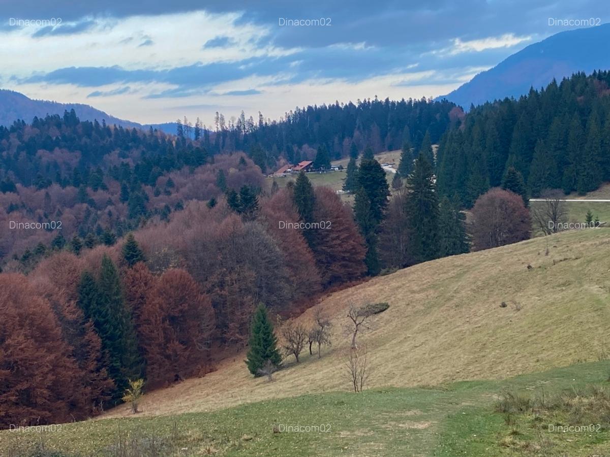 Garsonieră de vânzare la Partia Clabucet, Predeal - 6