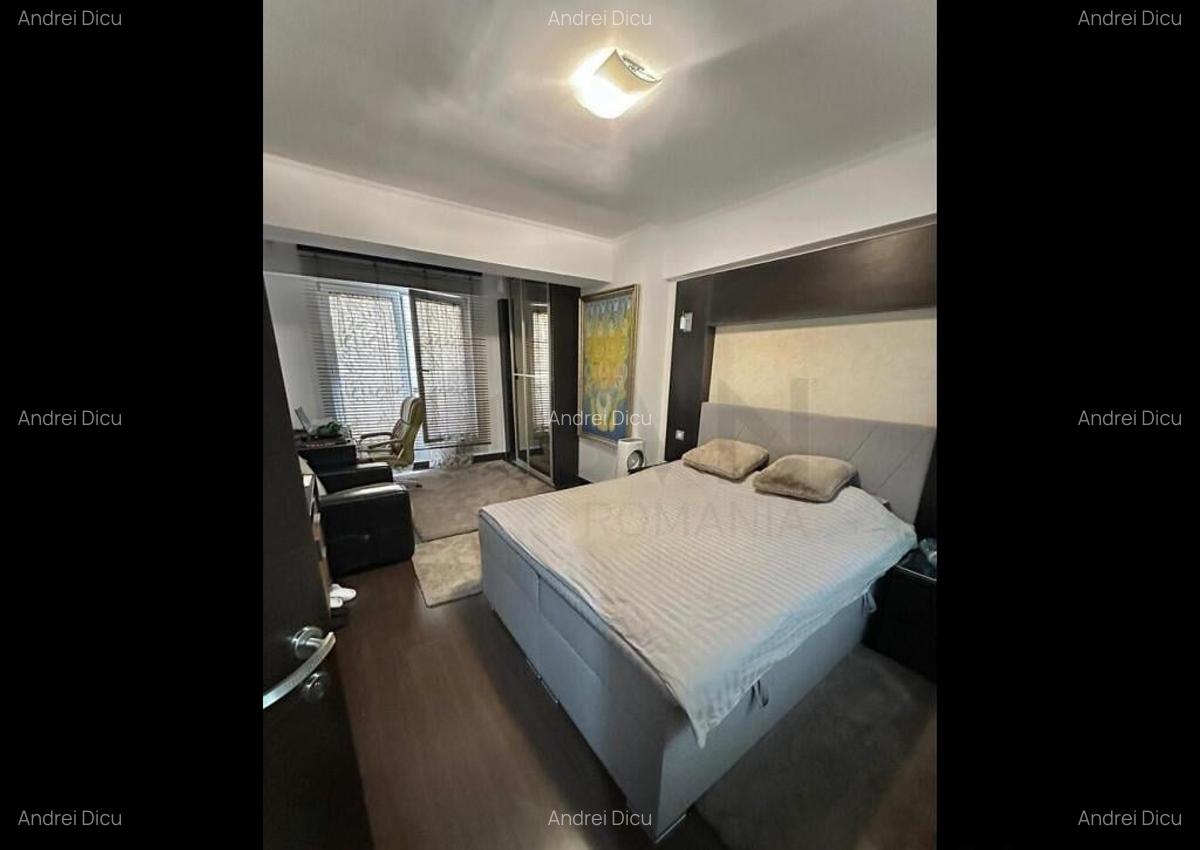Apartament 2 Camere I De Inchiriat I Herastrau - 3