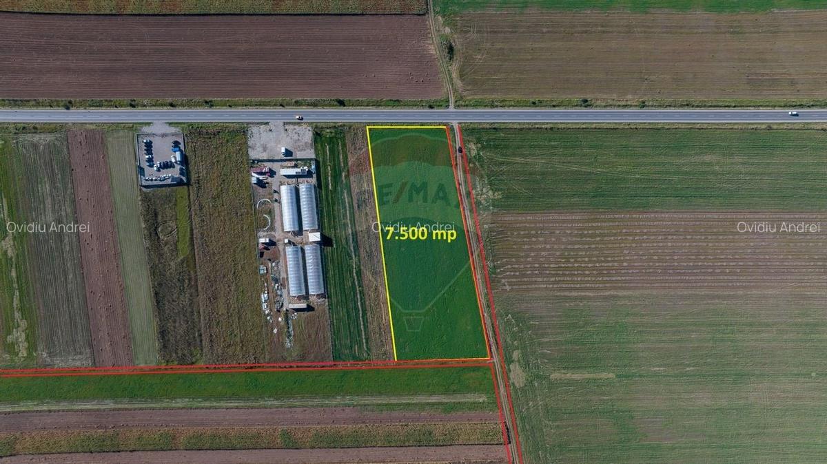 Teren 7,500mp Tarlungeni / Strada Zizinului - 8