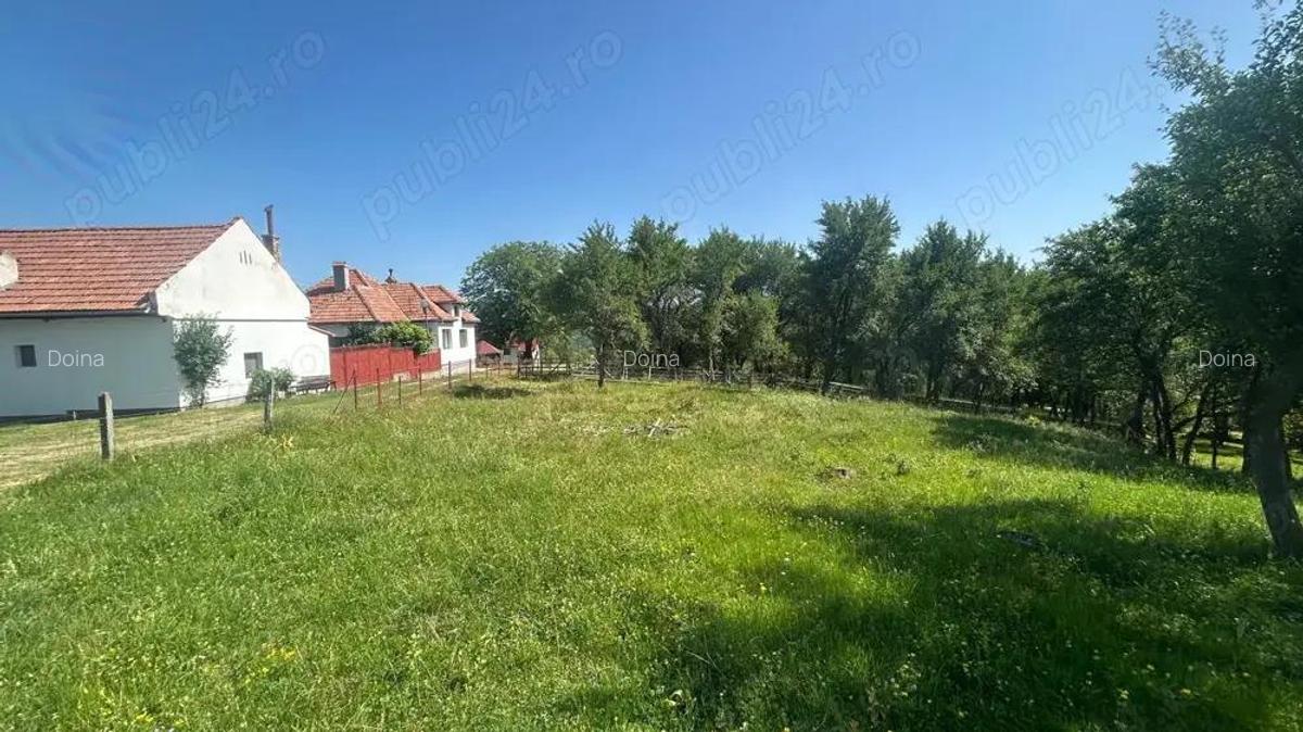 Teren cu vedere catre m-tii Bucegi - 5