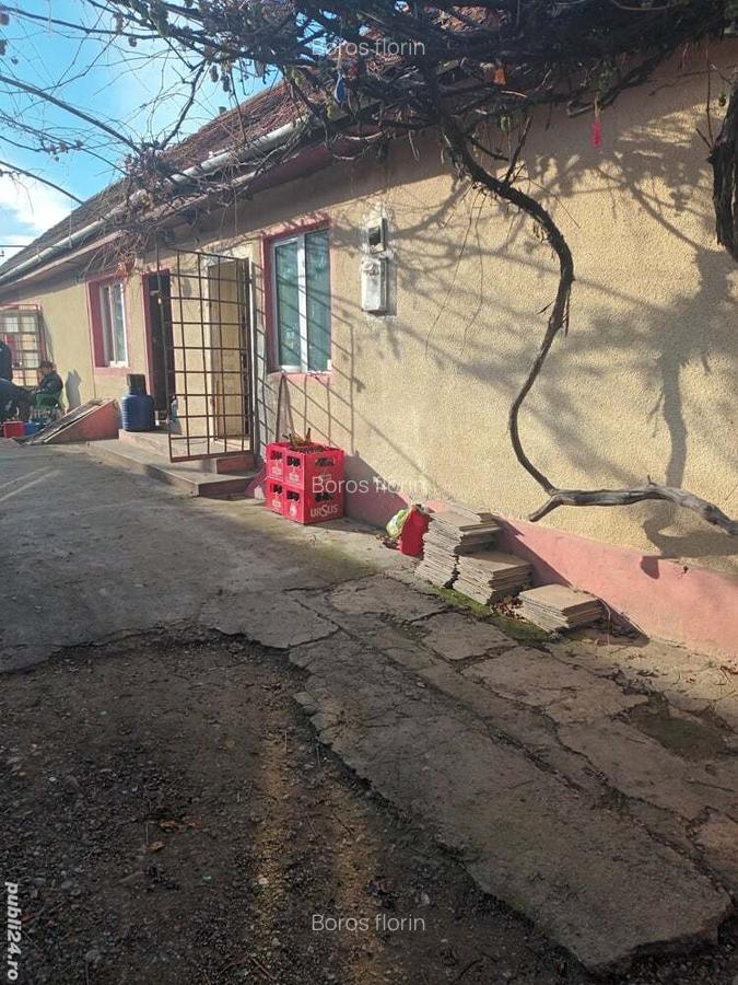 Casa de vanzare haghig - 9