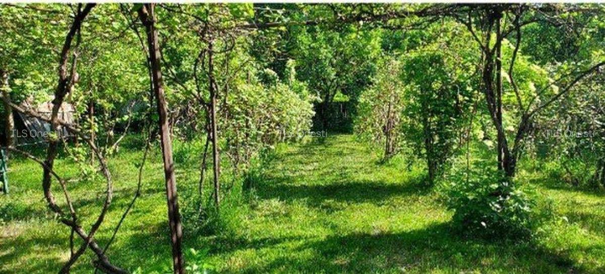 De vinzare propietate in Statiunea Targum Ocna - 1 De vinzare propietate in Statiunea Targum Ocna - 1