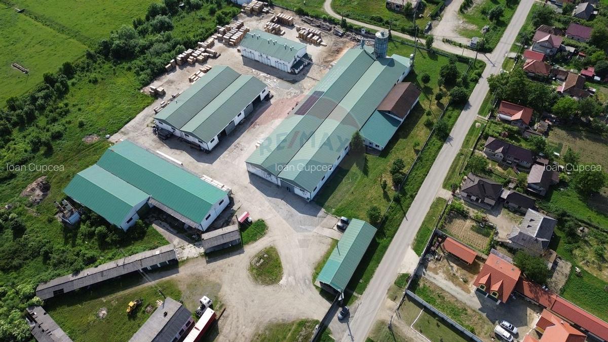 Spatiu industrial de vanzare 4,500mp HALE / 35,0000mp TEREN - 17