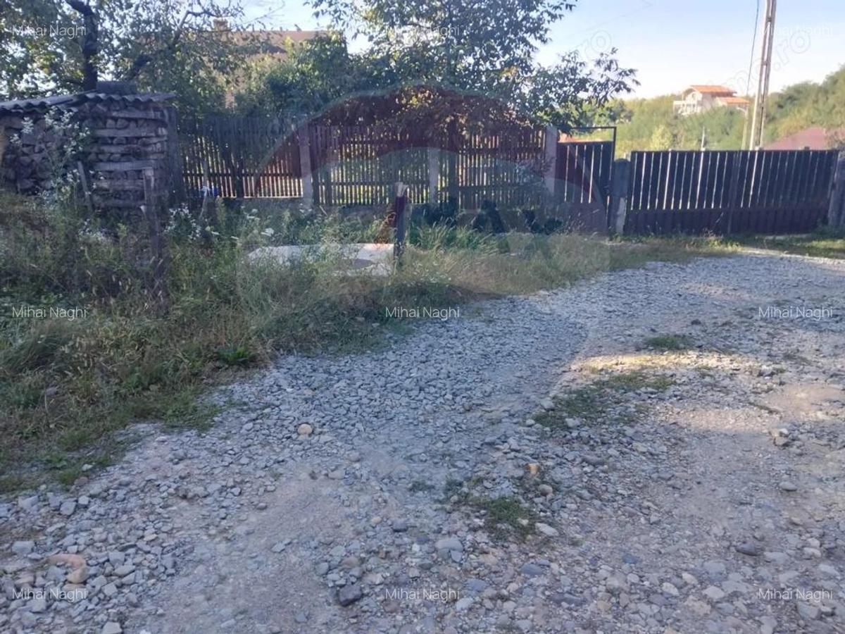Teren 1,552mp Cicarlau - 6