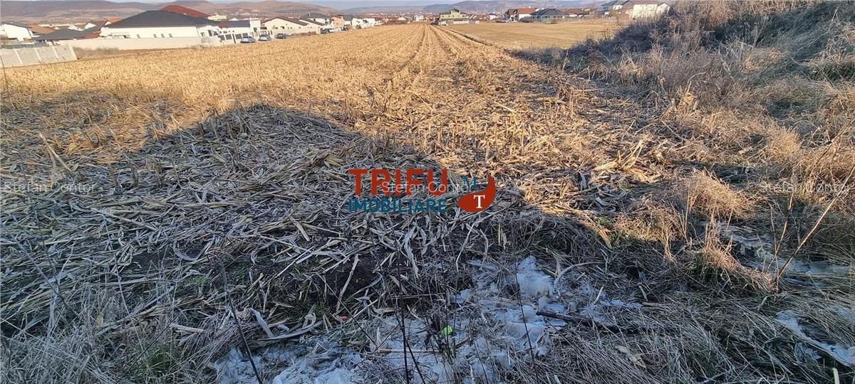Teren intravilan 2011 mp de vanzare in Alba Iulia la asfalt cu utilitati - 2