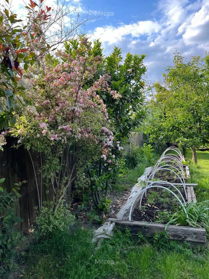 Casa cu 1200 mp Sanmihaiul Roman la cheie - 3 Casa cu 1200 mp Sanmihaiul Roman la cheie - 3