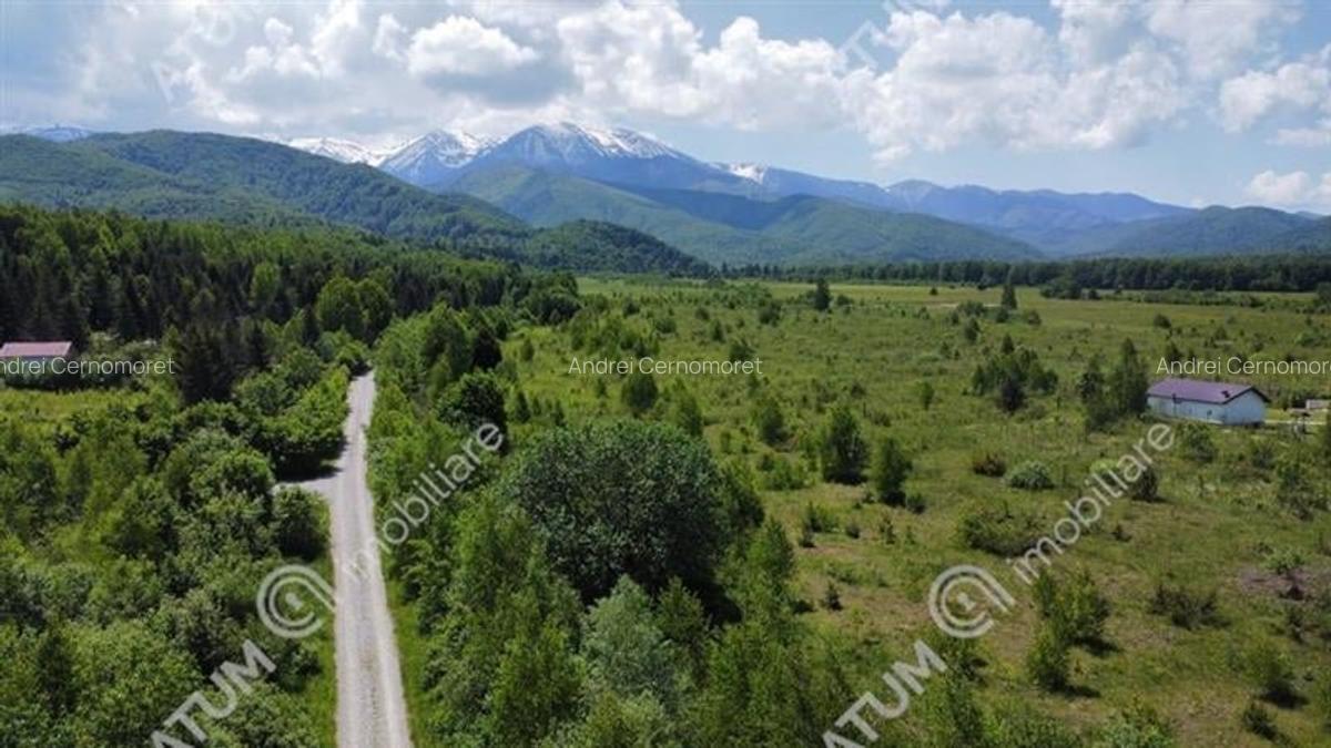 Teren intravilan 1000 mp de vanzare pe Valea Avrigului - 1