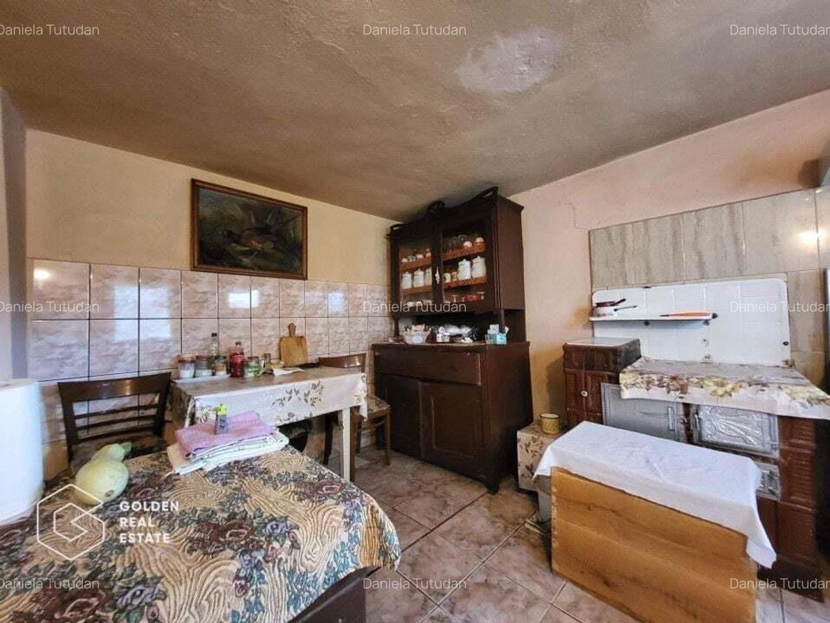 Casa cu teren 3300 mp, comuna Zabrani - 7