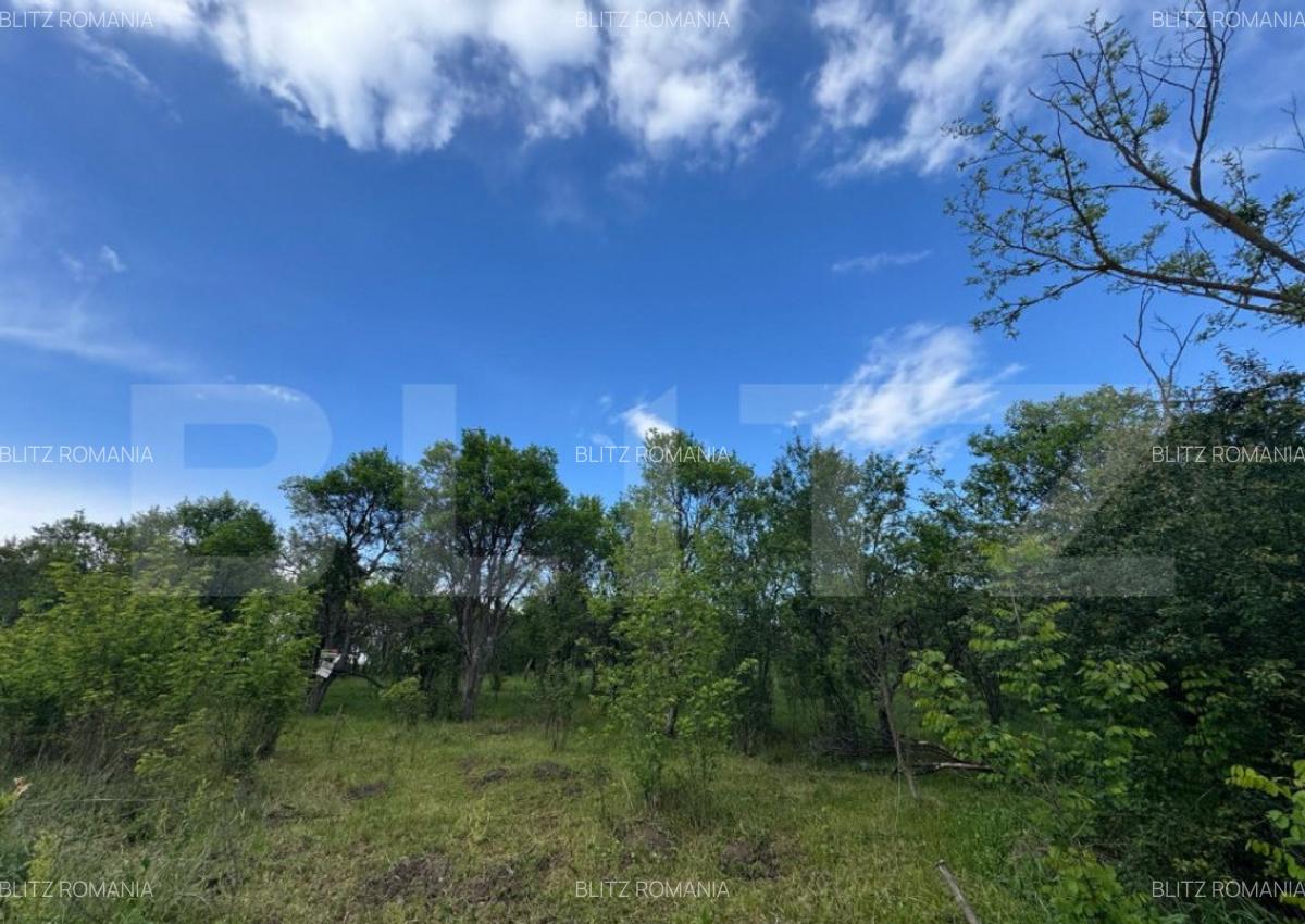 Teren extravilan de vanzare, 6000 mp, zona Hateg - 3