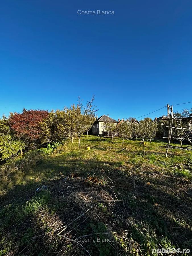 Casa batraneasca + teren 5000mp - 4