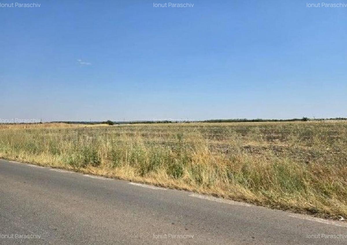 Teren extravilan Smardioasa, cota 1/6, ID: R2688427 - 11