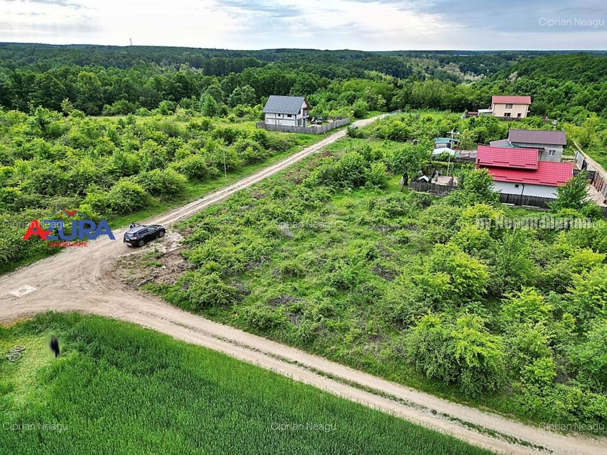 AZURA Imobiliare - Teren Mosoaia - 7