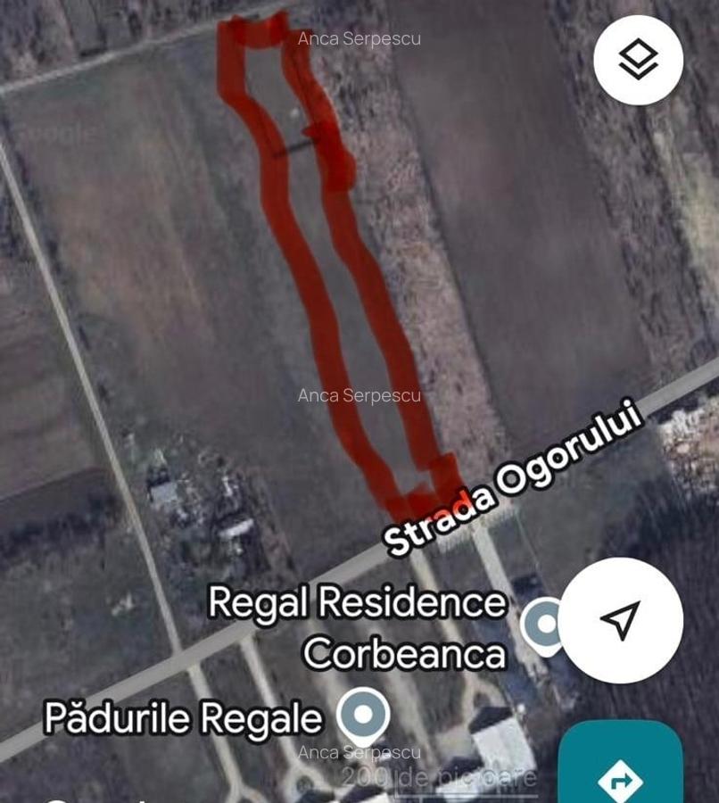 Teren de 5000 mp intravilan în Corbeanca – zonă rezidențială nouă - 5 Teren de 5000 mp intravilan în Corbeanca – zonă rezidențială nouă - 5