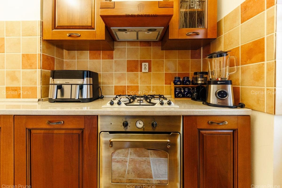 Apartament cu terasa si boxa, in Palatul Adolf Hanecker | Mal Bega - 41