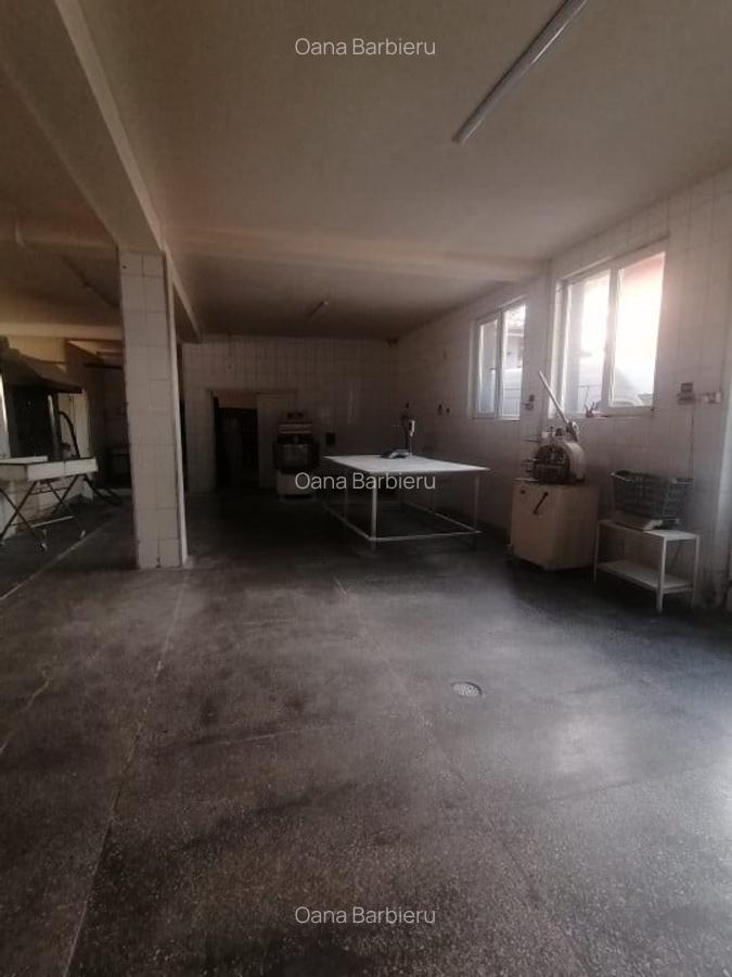 Spatiu ideal PRODUCTIE, 287 mp. , curte generoasa - 12