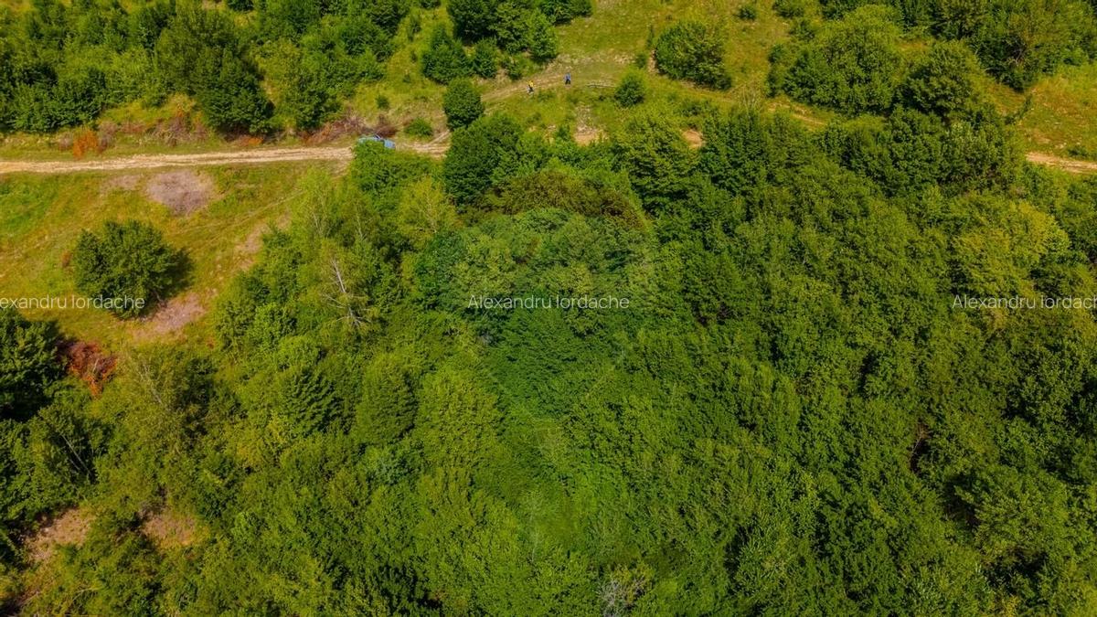 Teren intravilan de 1551 mp, în Grid - 3