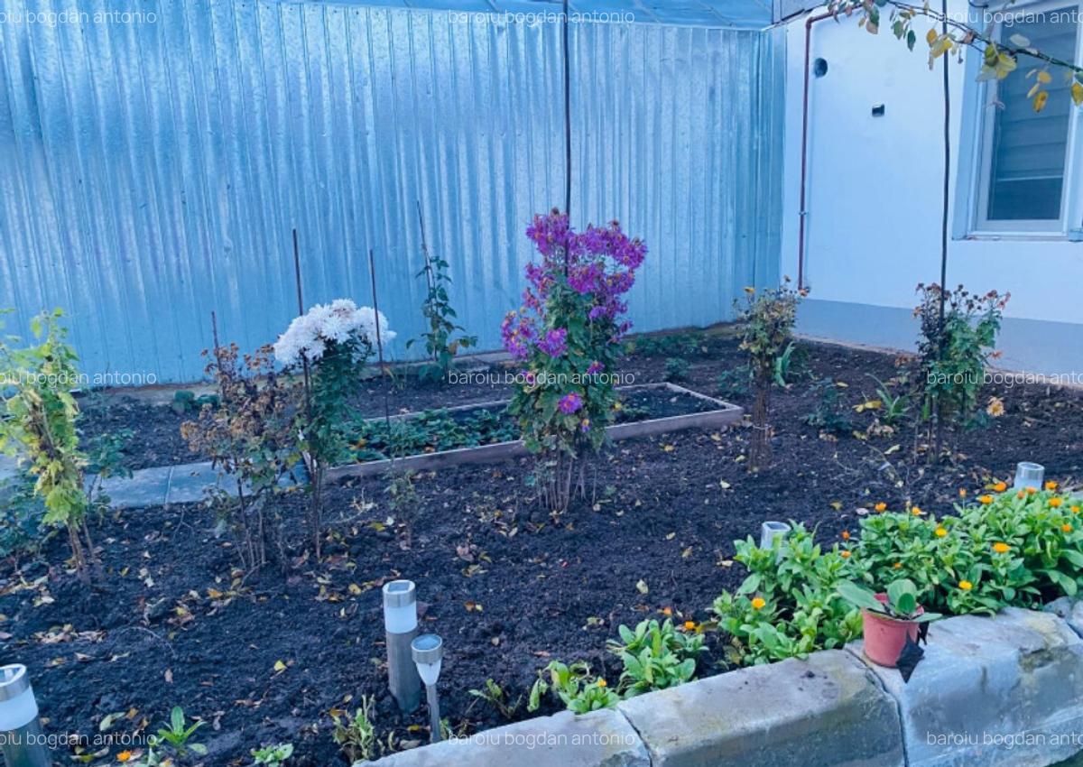 Inchiriez casa la curte - 8