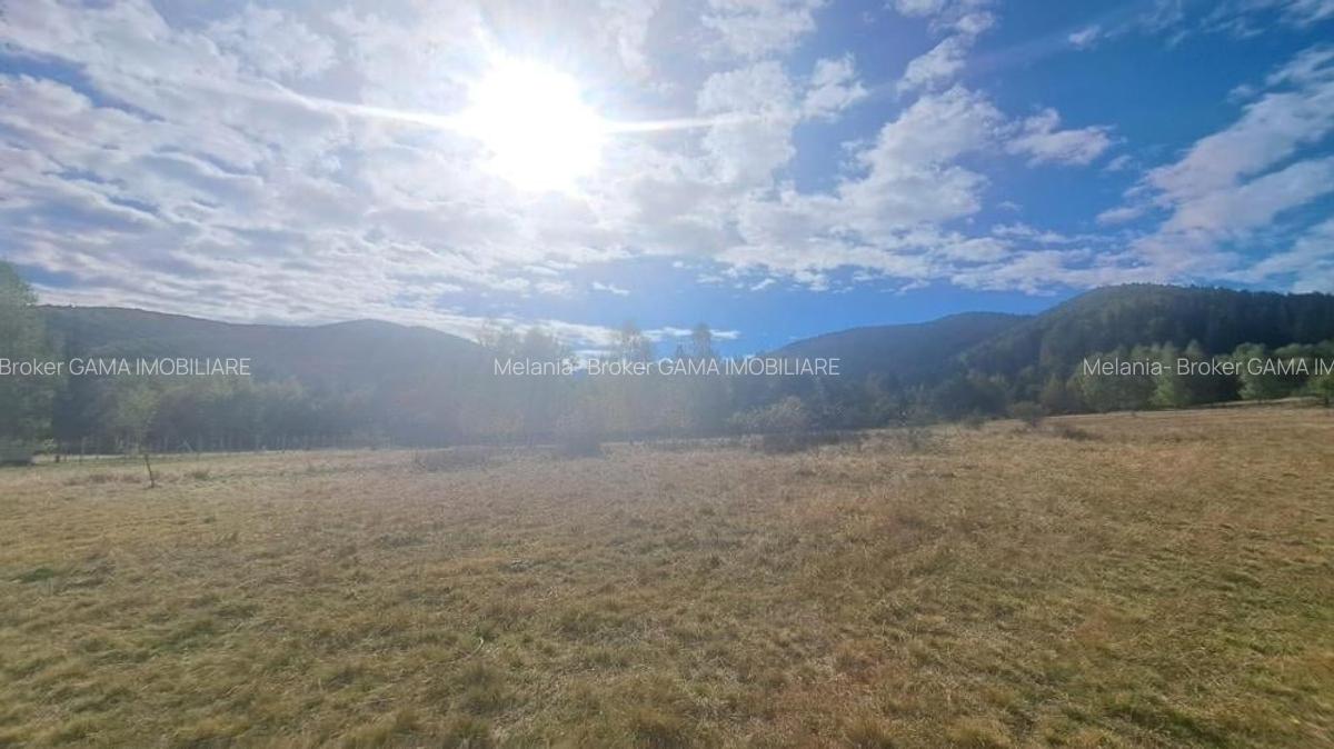 GM53438 Oportunitate investitie in Muntii Fagaras, teren 18000mp - 3