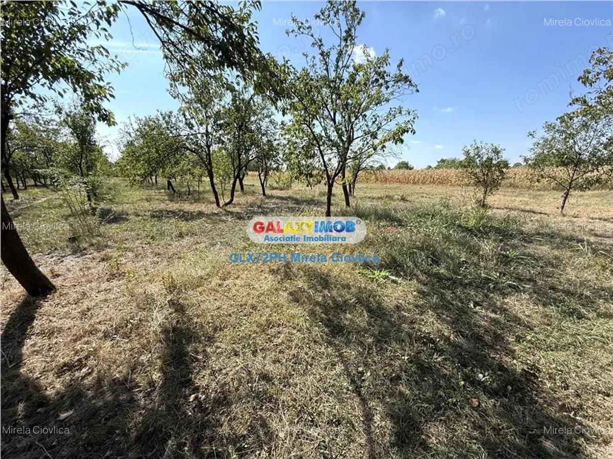 Vanzare teren intravilan Baicoi Central - 6 Vanzare teren intravilan Baicoi Central - 6