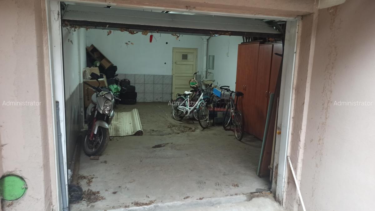 Dacia - Dumbrava Rosie ( Parc Ioanid ) - 8