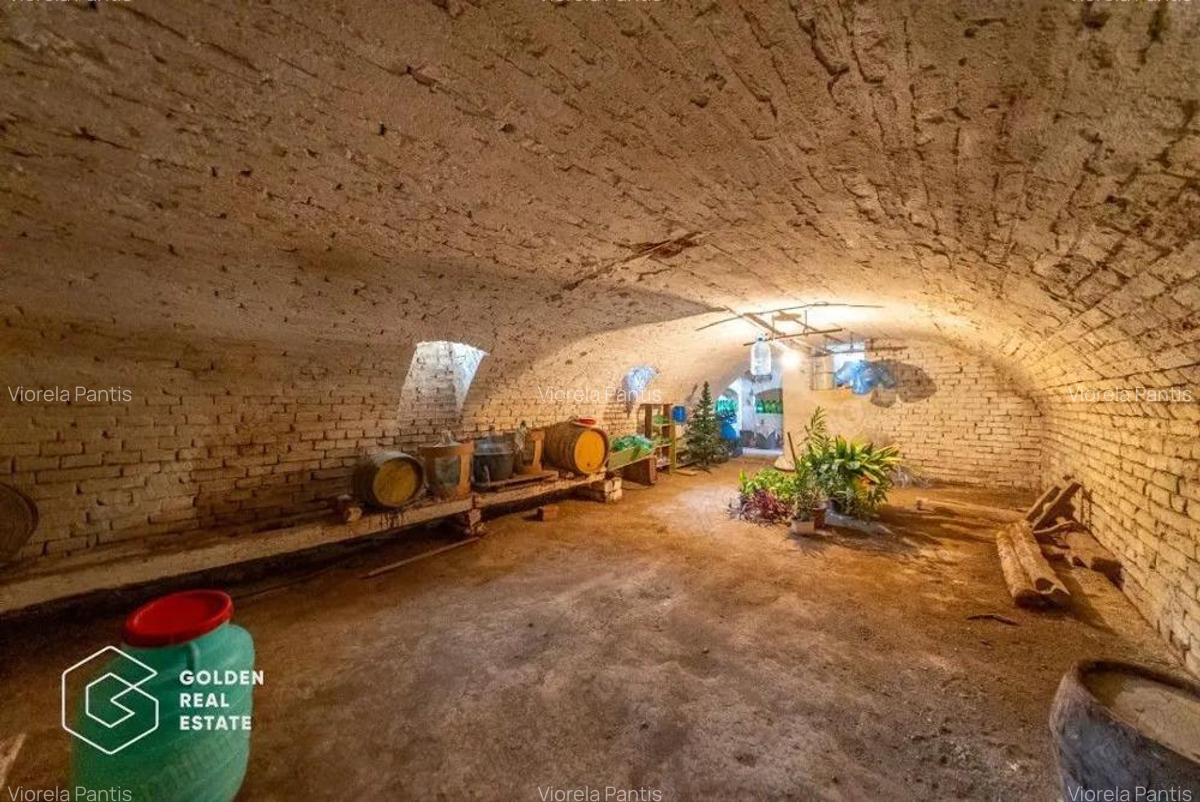 Teren intravilan Vladimirescu, 984 mp, fara comision - 6