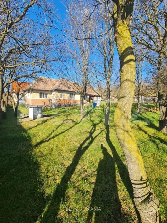 Teren intravilan, 2589 mp, Certificat de urbanism, Rediu, com. Aiton - 1