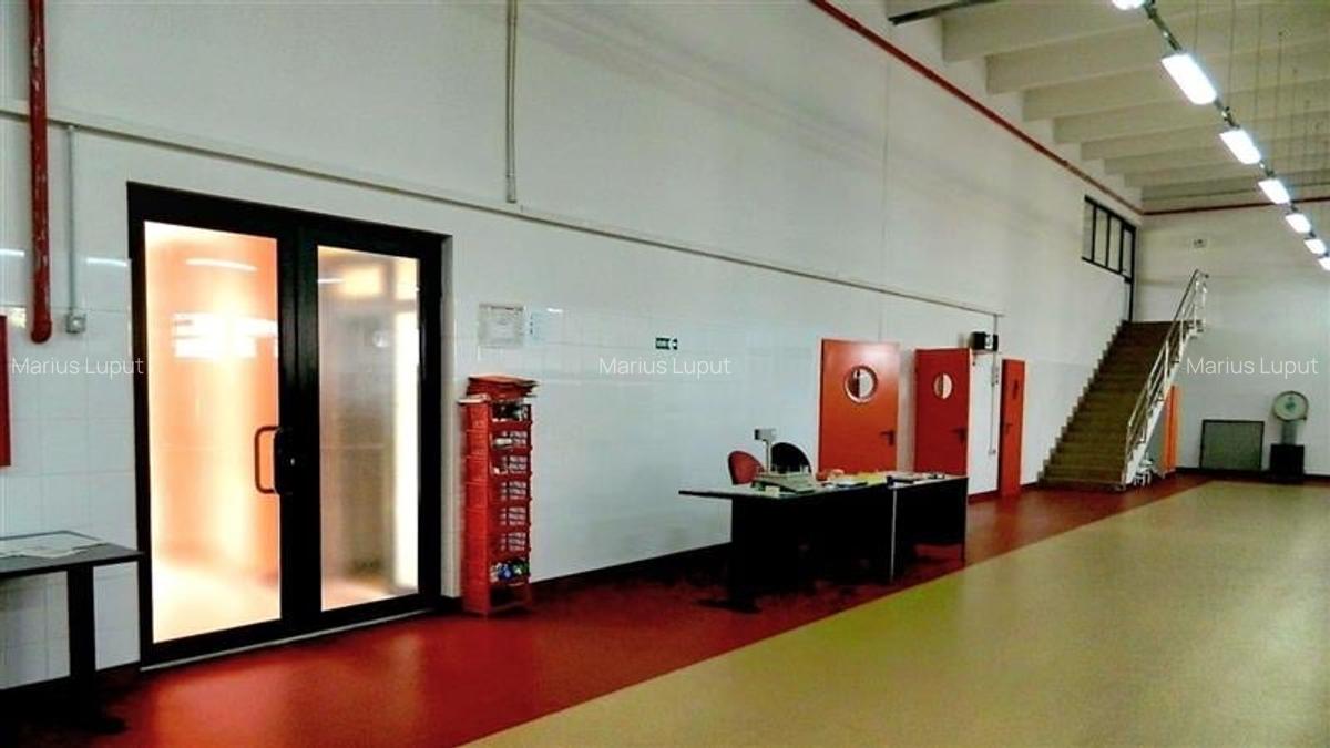 Hala industriala, 1600 mp cu teren 6500 mp , Timisoara Nord Vest - 9
