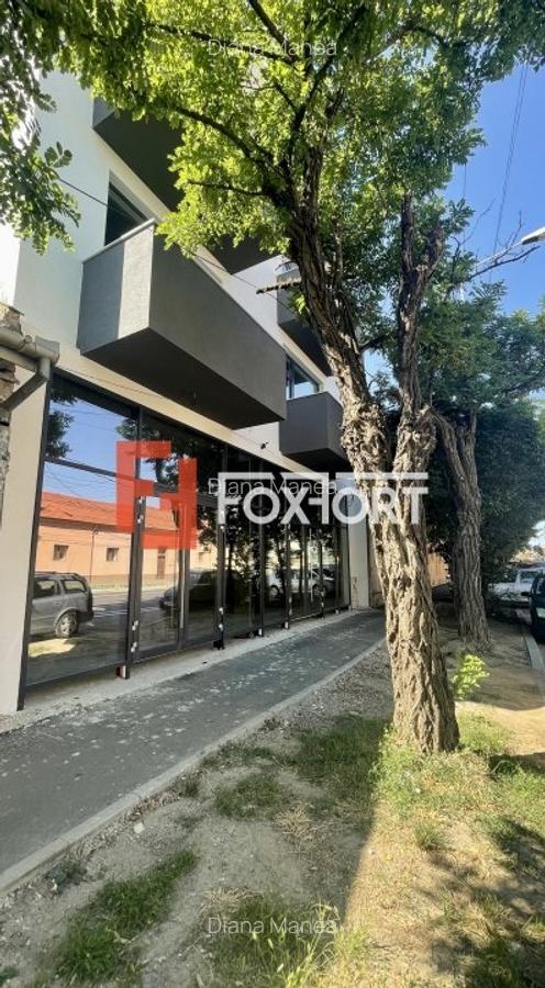 Spațiu comercial, 500 mp în Șagului - 4