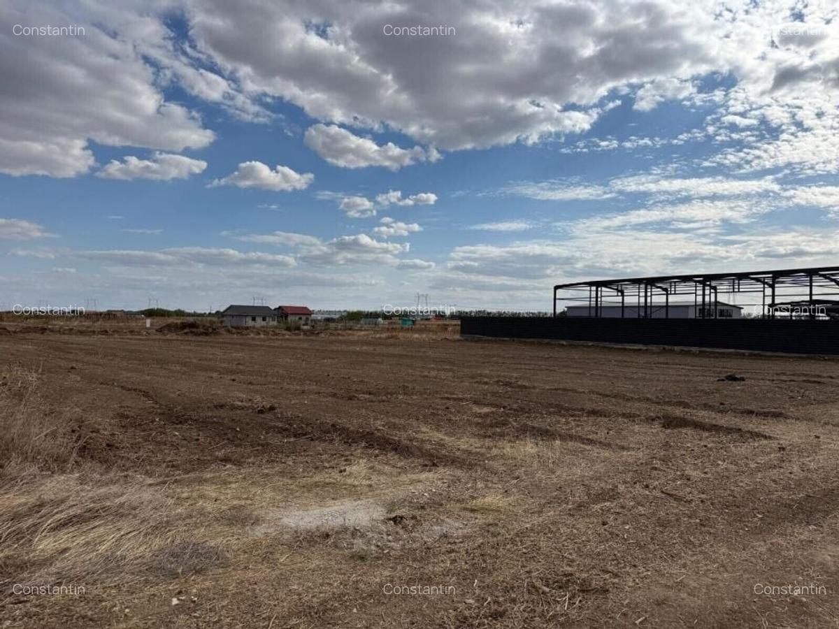 Teren DN4-A0 cu deschidere la Soseaua Oltenitei - 3