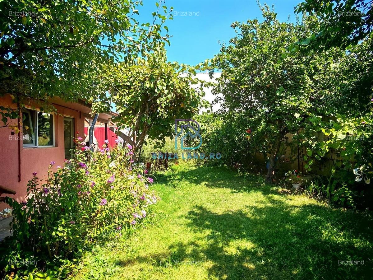 Bucurestii Noi, parcul Basilescu, casa 96mp, 4 camere, teren 302mp - 3