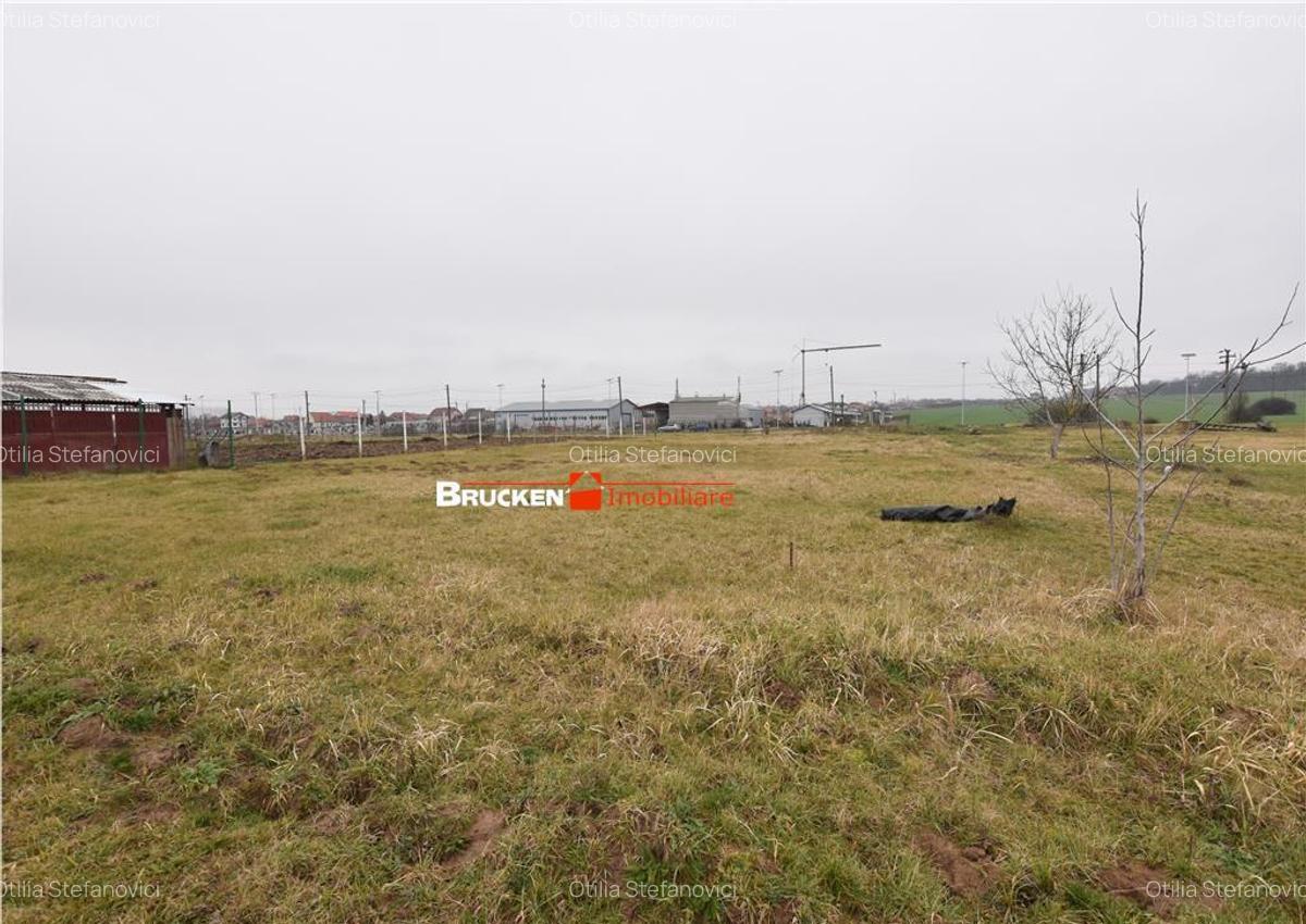 LOC DE CASA IN MARGHITA | 600 MP - 2 LOC DE CASA IN MARGHITA | 600 MP - 2