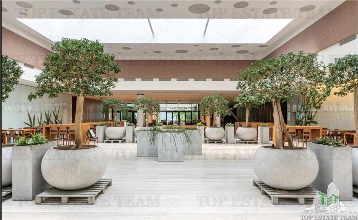 Spatiu de Birouri de 494 mp in Zona Baneasa - 7