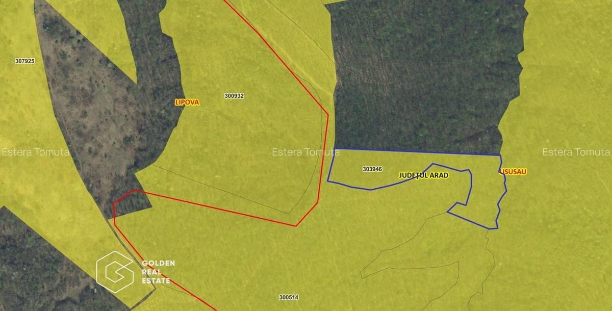 Padure de stejar, Ususau, suprafata 29.800 mp, comision 0% - 2