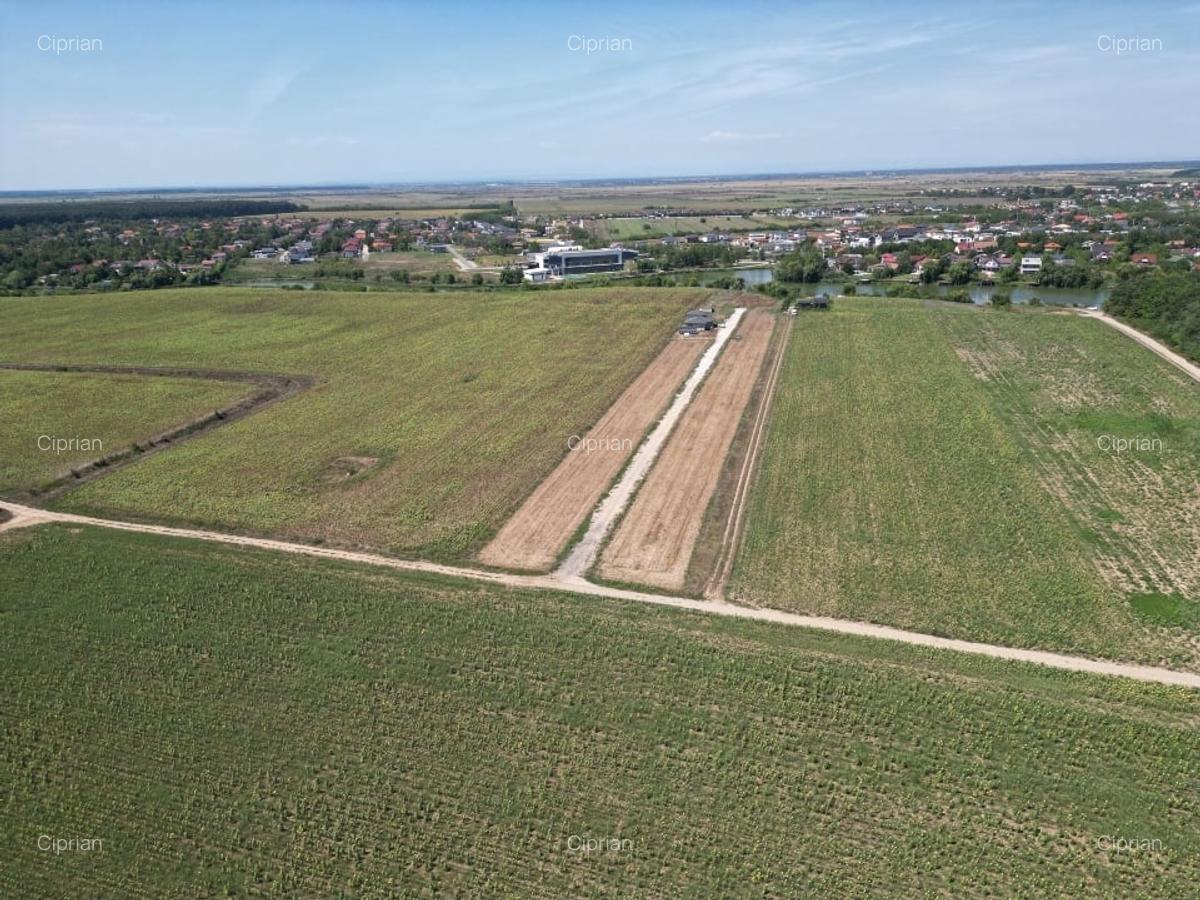 Teren intravilan langa padure Corbeanca Park - 7