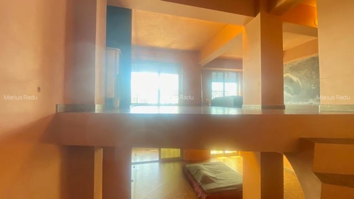 Bd. Unirii 5 camere Loft ! - 3